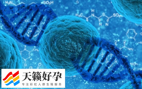 国内试管婴儿的合法性解读，满足这三大条件即可申请成功！(图2)