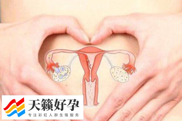 42岁卵巢早衰做试管婴儿能否怀孕(图2)